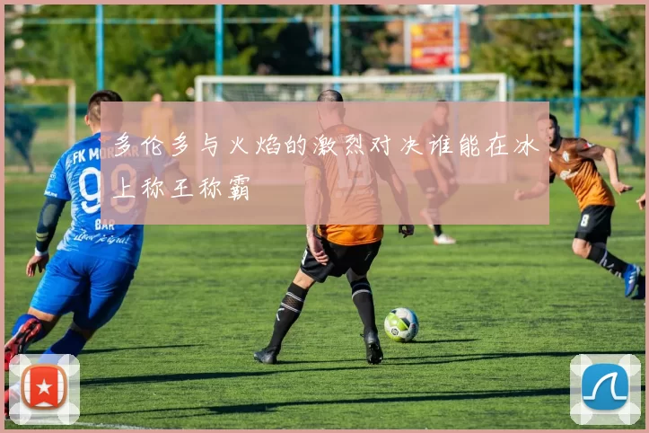 多伦多与火焰的激烈对决谁能在冰上称王称霸