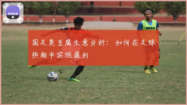 国足臭豆腐生意分析：如何在足球热潮中实现盈利